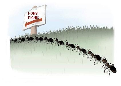 Ants to Picnic