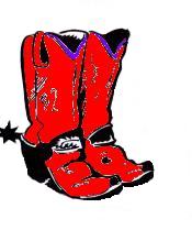 Cowboy Boots
