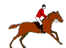 Horse Racing
