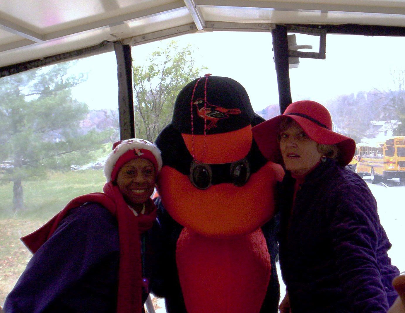 Hons & Oriole Bird