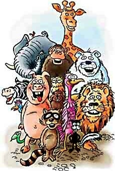 Zoo Animals